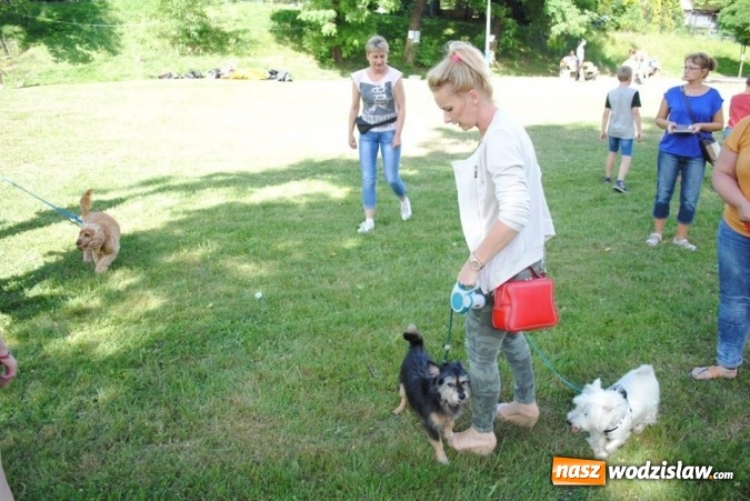 Zdjęcie w galerii na portalu naszwodzislaw.com: W Radlinie psy obchodziły swoje święto. Przygotowano nawet... tort  wiadomości z regionu