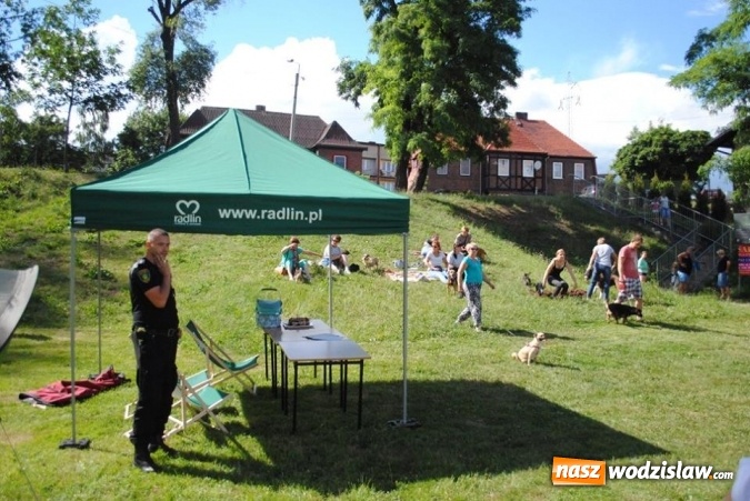 Zdjęcie w galerii na portalu naszwodzislaw.com: W Radlinie psy obchodziły swoje święto. Przygotowano nawet... tort  wiadomości z regionu