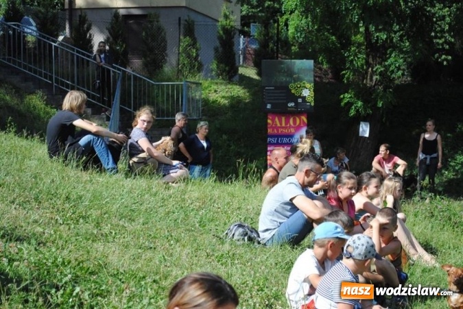 Zdjęcie w galerii na portalu naszwodzislaw.com: W Radlinie psy obchodziły swoje święto. Przygotowano nawet... tort  wiadomości z regionu