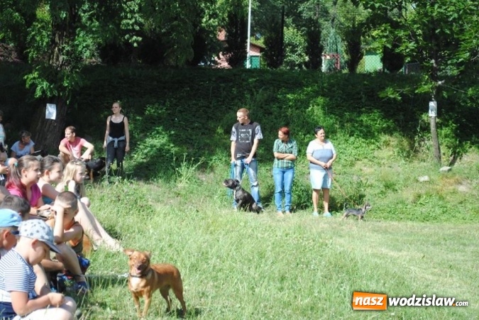 Zdjęcie w galerii na portalu naszwodzislaw.com: W Radlinie psy obchodziły swoje święto. Przygotowano nawet... tort  wiadomości z regionu