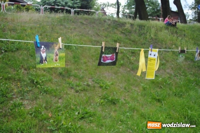 Zdjęcie w galerii na portalu naszwodzislaw.com: W Radlinie psy obchodziły swoje święto. Przygotowano nawet... tort  wiadomości z regionu