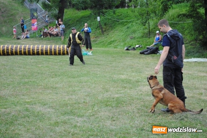 Zdjęcie w galerii na portalu naszwodzislaw.com: W Radlinie psy obchodziły swoje święto. Przygotowano nawet... tort  wiadomości z regionu