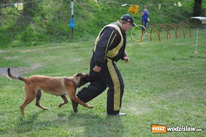 Zdjęcie w galerii na portalu naszwodzislaw.com: W Radlinie psy obchodziły swoje święto. Przygotowano nawet... tort  wiadomości z regionu
