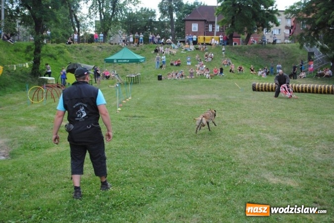 Zdjęcie w galerii na portalu naszwodzislaw.com: W Radlinie psy obchodziły swoje święto. Przygotowano nawet... tort  wiadomości z regionu