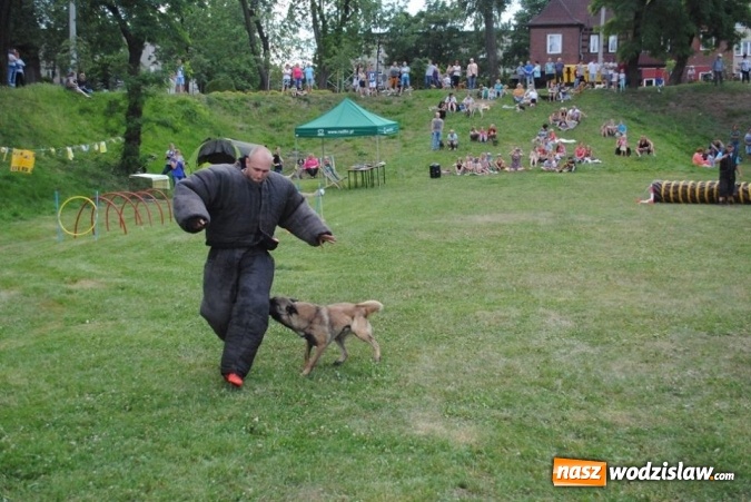 Zdjęcie w galerii na portalu naszwodzislaw.com: W Radlinie psy obchodziły swoje święto. Przygotowano nawet... tort  wiadomości z regionu