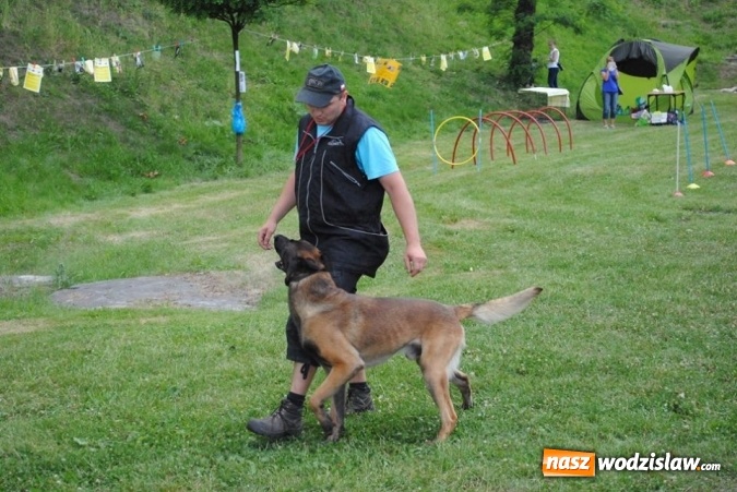 Zdjęcie w galerii na portalu naszwodzislaw.com: W Radlinie psy obchodziły swoje święto. Przygotowano nawet... tort  wiadomości z regionu