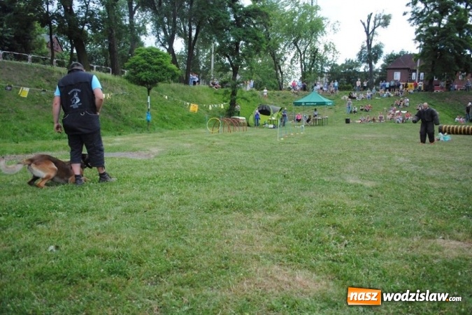 Zdjęcie w galerii na portalu naszwodzislaw.com: W Radlinie psy obchodziły swoje święto. Przygotowano nawet... tort  wiadomości z regionu