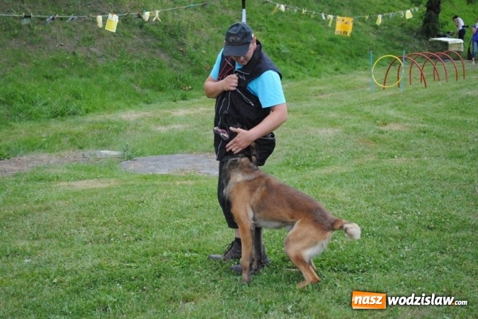 Zdjęcie w galerii na portalu naszwodzislaw.com: W Radlinie psy obchodziły swoje święto. Przygotowano nawet... tort  wiadomości z regionu