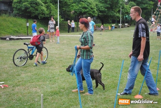 Zdjęcie w galerii na portalu naszwodzislaw.com: W Radlinie psy obchodziły swoje święto. Przygotowano nawet... tort  wiadomości z regionu