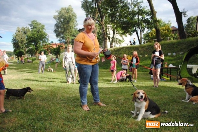Zdjęcie w galerii na portalu naszwodzislaw.com: W Radlinie psy obchodziły swoje święto. Przygotowano nawet... tort  wiadomości z regionu