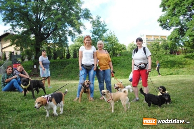 Zdjęcie w galerii na portalu naszwodzislaw.com: W Radlinie psy obchodziły swoje święto. Przygotowano nawet... tort  wiadomości z regionu