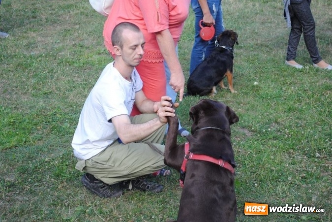 Zdjęcie w galerii na portalu naszwodzislaw.com: W Radlinie psy obchodziły swoje święto. Przygotowano nawet... tort  wiadomości z regionu