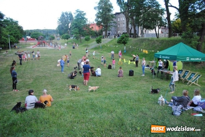 Zdjęcie w galerii na portalu naszwodzislaw.com: W Radlinie psy obchodziły swoje święto. Przygotowano nawet... tort  wiadomości z regionu