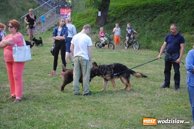 Zdjęcie w galerii na portalu naszwodzislaw.com: W Radlinie psy obchodziły swoje święto. Przygotowano nawet... tort  wiadomości z regionu