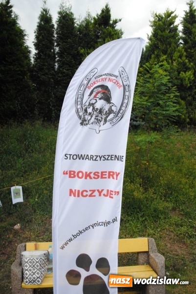 Zdjęcie w galerii na portalu naszwodzislaw.com: W Radlinie psy obchodziły swoje święto. Przygotowano nawet... tort  wiadomości z regionu