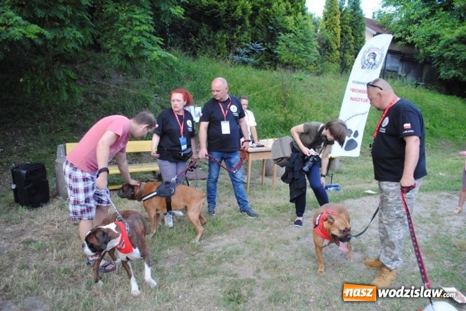Zdjęcie w galerii na portalu naszwodzislaw.com: W Radlinie psy obchodziły swoje święto. Przygotowano nawet... tort  wiadomości z regionu