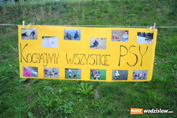 Zdjęcie w galerii na portalu naszwodzislaw.com: W Radlinie psy obchodziły swoje święto. Przygotowano nawet... tort  wiadomości z regionu