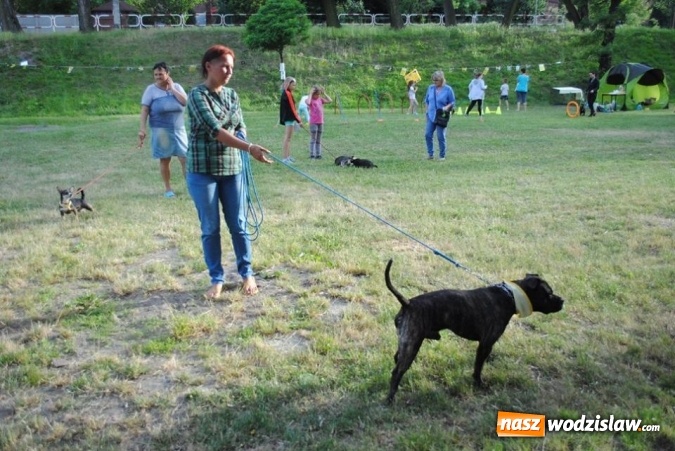 Zdjęcie w galerii na portalu naszwodzislaw.com: W Radlinie psy obchodziły swoje święto. Przygotowano nawet... tort  wiadomości z regionu