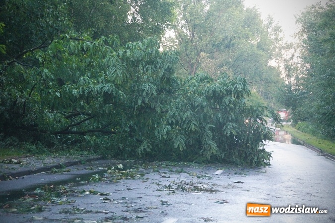 Zdjęcie w galerii na portalu naszwodzislaw.com: Strażacy nadal walczą ze skutkami piątkowej nawałnicy! Do tej pory odnotowano około 130 zgłoszeń  wiadomości z regionu