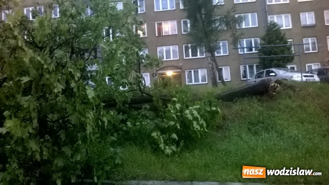 Zdjęcie w galerii na portalu naszwodzislaw.com: Strażacy nadal walczą ze skutkami piątkowej nawałnicy! Do tej pory odnotowano około 130 zgłoszeń  wiadomości z regionu