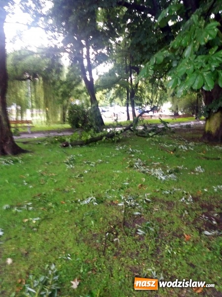 Zdjęcie w galerii na portalu naszwodzislaw.com: Strażacy nadal walczą ze skutkami piątkowej nawałnicy! Do tej pory odnotowano około 130 zgłoszeń  wiadomości z regionu