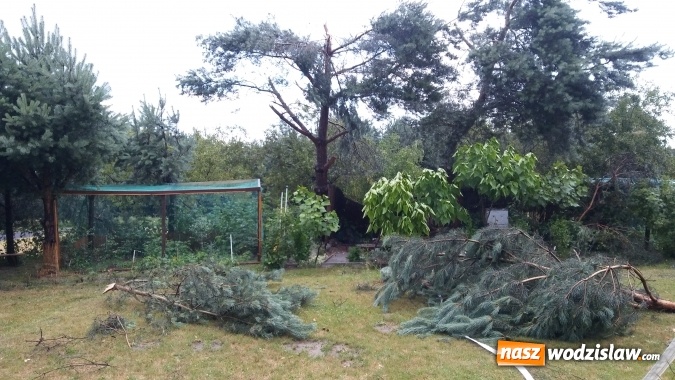 Zdjęcie w galerii na portalu naszwodzislaw.com: Strażacy nadal walczą ze skutkami piątkowej nawałnicy! Do tej pory odnotowano około 130 zgłoszeń  wiadomości z regionu