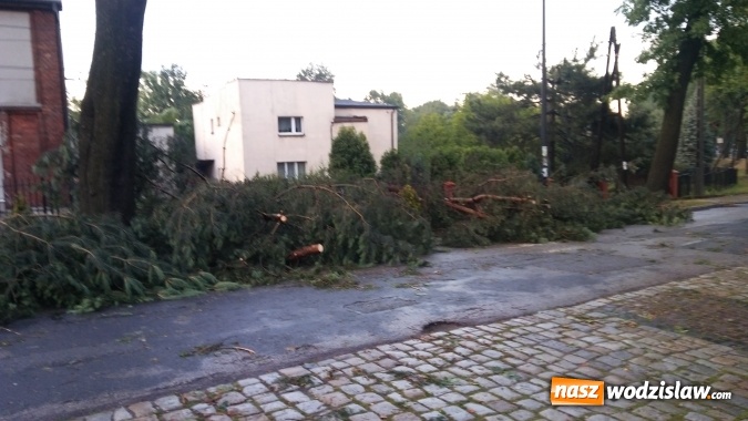 Zdjęcie w galerii na portalu naszwodzislaw.com: Strażacy nadal walczą ze skutkami piątkowej nawałnicy! Do tej pory odnotowano około 130 zgłoszeń  wiadomości z regionu