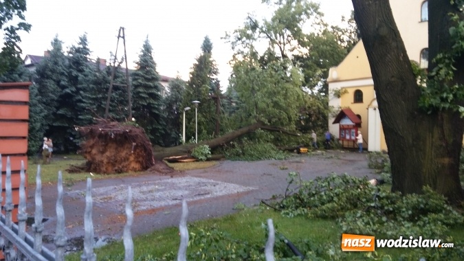 Zdjęcie w galerii na portalu naszwodzislaw.com: Strażacy nadal walczą ze skutkami piątkowej nawałnicy! Do tej pory odnotowano około 130 zgłoszeń  wiadomości z regionu