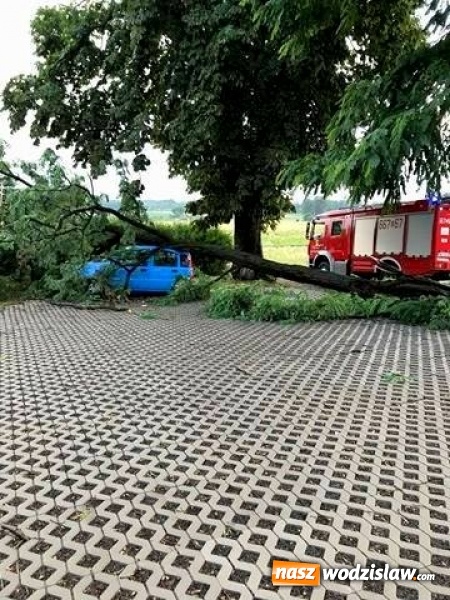 Zdjęcie w galerii na portalu naszwodzislaw.com: Strażacy nadal walczą ze skutkami piątkowej nawałnicy! Do tej pory odnotowano około 130 zgłoszeń  wiadomości z regionu