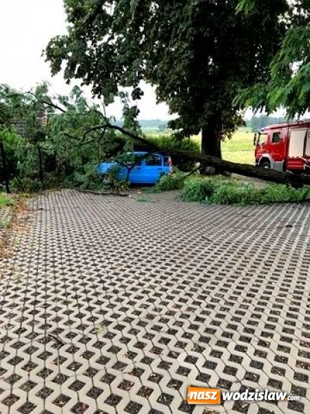 Zdjęcie w galerii na portalu naszwodzislaw.com: Strażacy nadal walczą ze skutkami piątkowej nawałnicy! Do tej pory odnotowano około 130 zgłoszeń  wiadomości z regionu