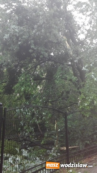 Zdjęcie w galerii na portalu naszwodzislaw.com: Dementujemy plotki. Nie pali się Koksownia w Radlinie! wiadomości z regionu