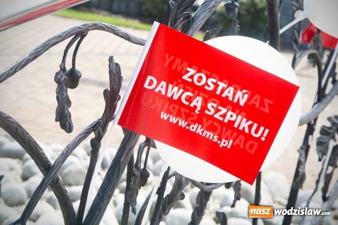 Zdjęcie w galerii na portalu naszwodzislaw.com: Ogromne zainteresowanie akcją rejestracji potencjalnych Dawców w Marklowicach  wiadomości z regionu