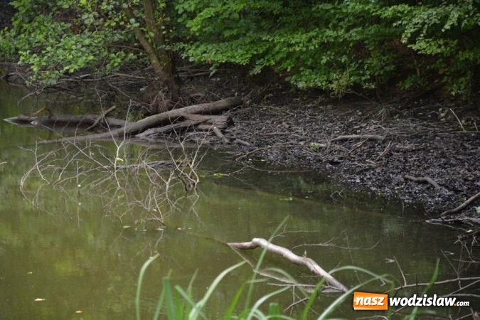 Zdjęcie w galerii na portalu naszwodzislaw.com: Doszło do uszkodzenia śluzy wodnej w zbiorniku na Balatonie. Poziom wody znacznie się obniżył! wiadomości z regionu