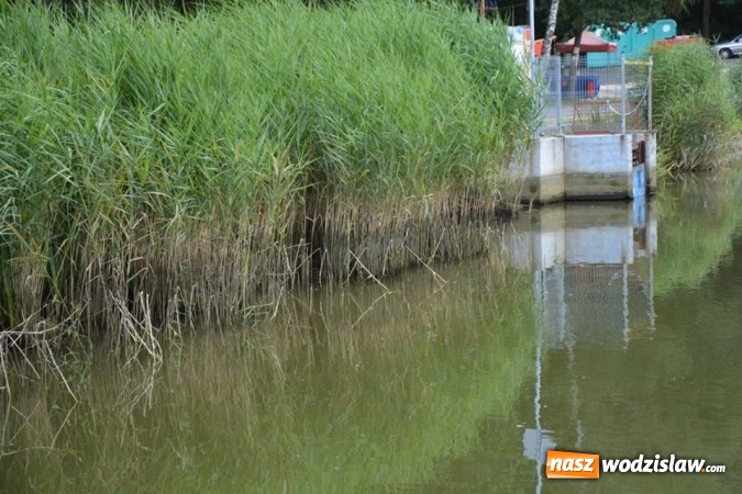 Zdjęcie w galerii na portalu naszwodzislaw.com: Doszło do uszkodzenia śluzy wodnej w zbiorniku na Balatonie. Poziom wody znacznie się obniżył! wiadomości z regionu