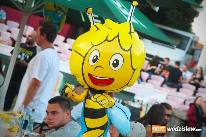 Zdjęcie w galerii na portalu naszwodzislaw.com: Najcieplejsze Miejsce na Ziemi. Muzyka reggae na dwa dni zawładnęła miastem. FOTORELACJA wiadomości z regionu