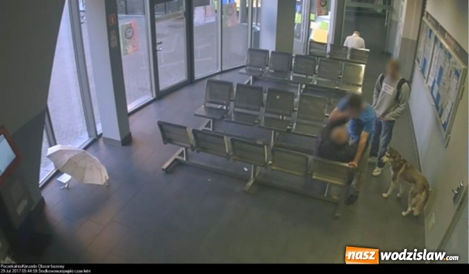 Zdjęcie w galerii na portalu naszwodzislaw.com: Bójka w poczekalni autobusowej. Szarpaninę zarejestrowała kamera  wiadomości z regionu