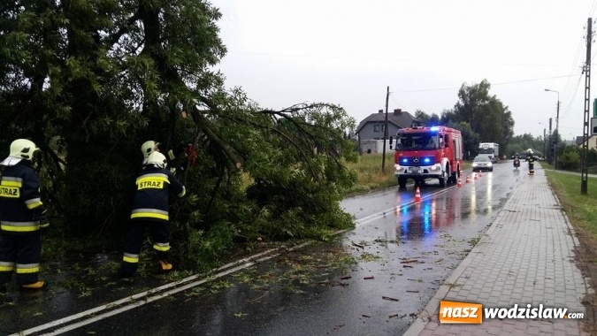 Zdjęcie w galerii na portalu naszwodzislaw.com: Jeszcze nie minął miesiąc od ostatniej nawałnicy, a zn&oacute;w przeszła kolejna. Strażacy odnotowali 17 interwencji! wiadomości z regionu