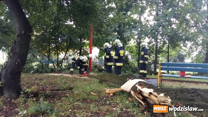 Zdjęcie w galerii na portalu naszwodzislaw.com: Jeszcze nie minął miesiąc od ostatniej nawałnicy, a zn&oacute;w przeszła kolejna. Strażacy odnotowali 17 interwencji! wiadomości z regionu