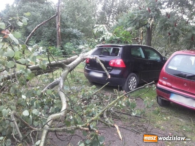 Zdjęcie w galerii na portalu naszwodzislaw.com: Kolejna nawałnica dała się we znaki. Dwie osoby przygniecione przez drzewo w Olzie! wiadomości z regionu