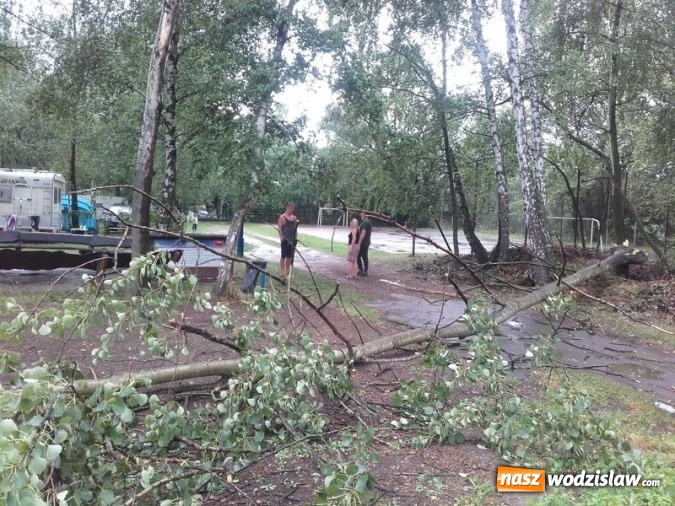 Zdjęcie w galerii na portalu naszwodzislaw.com: Kolejna nawałnica dała się we znaki. Dwie osoby przygniecione przez drzewo w Olzie! wiadomości z regionu
