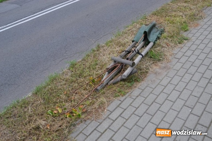Zdjęcie w galerii na portalu naszwodzislaw.com: Radlin: wandalizmu ciąg dalszy. Zniszczyli nasadzenia wzdłuż Rymera wiadomości z regionu