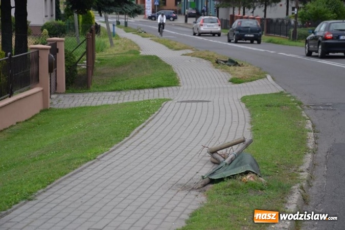 Zdjęcie w galerii na portalu naszwodzislaw.com: Radlin: wandalizmu ciąg dalszy. Zniszczyli nasadzenia wzdłuż Rymera wiadomości z regionu