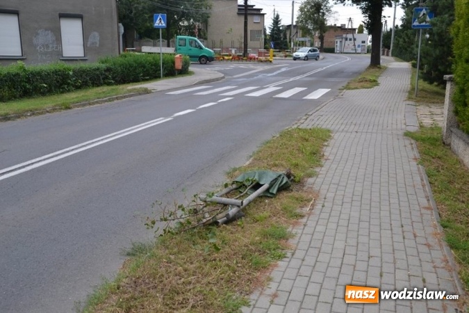 Zdjęcie w galerii na portalu naszwodzislaw.com: Radlin: wandalizmu ciąg dalszy. Zniszczyli nasadzenia wzdłuż Rymera wiadomości z regionu