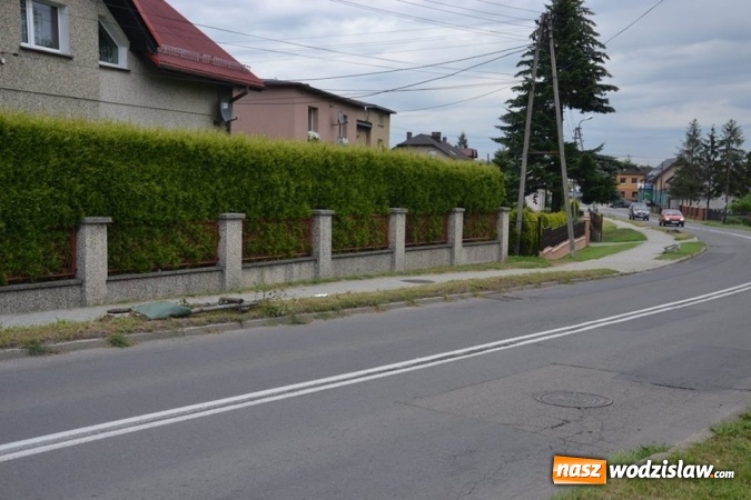 Zdjęcie w galerii na portalu naszwodzislaw.com: Radlin: wandalizmu ciąg dalszy. Zniszczyli nasadzenia wzdłuż Rymera wiadomości z regionu