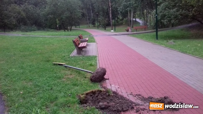 Zdjęcie w galerii na portalu naszwodzislaw.com: Wandale w Rodzinnym Parku Rozrywki. Odnotowano kolejne zniszczenia  wiadomości z regionu