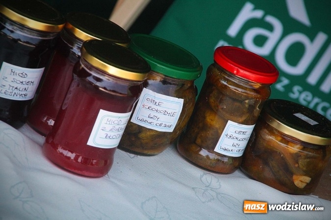 Zdjęcie w galerii na portalu naszwodzislaw.com: Eko-Bazar na Placu Radlińskich Olimpijczyków  wiadomości z regionu