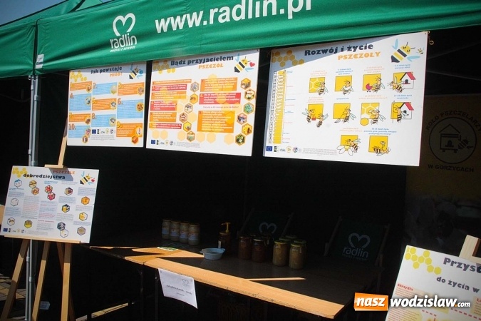 Zdjęcie w galerii na portalu naszwodzislaw.com: Eko-Bazar na Placu Radlińskich Olimpijczyków  wiadomości z regionu