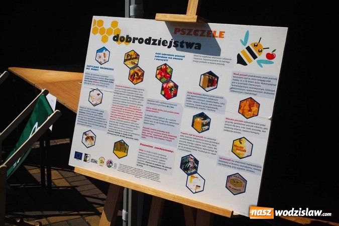 Zdjęcie w galerii na portalu naszwodzislaw.com: Eko-Bazar na Placu Radlińskich Olimpijczyków  wiadomości z regionu