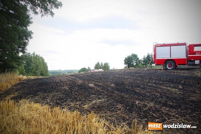 Zdjęcie w galerii na portalu naszwodzislaw.com: Kolejny pożar niedaleko Pszowa. W Rzuchowie paliło się ściernisko wiadomości z regionu
