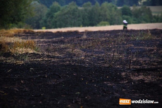 Zdjęcie w galerii na portalu naszwodzislaw.com: Kolejny pożar niedaleko Pszowa. W Rzuchowie paliło się ściernisko wiadomości z regionu